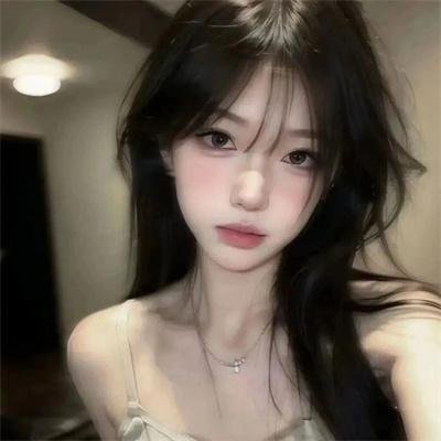企鹅之岛：福克兰
